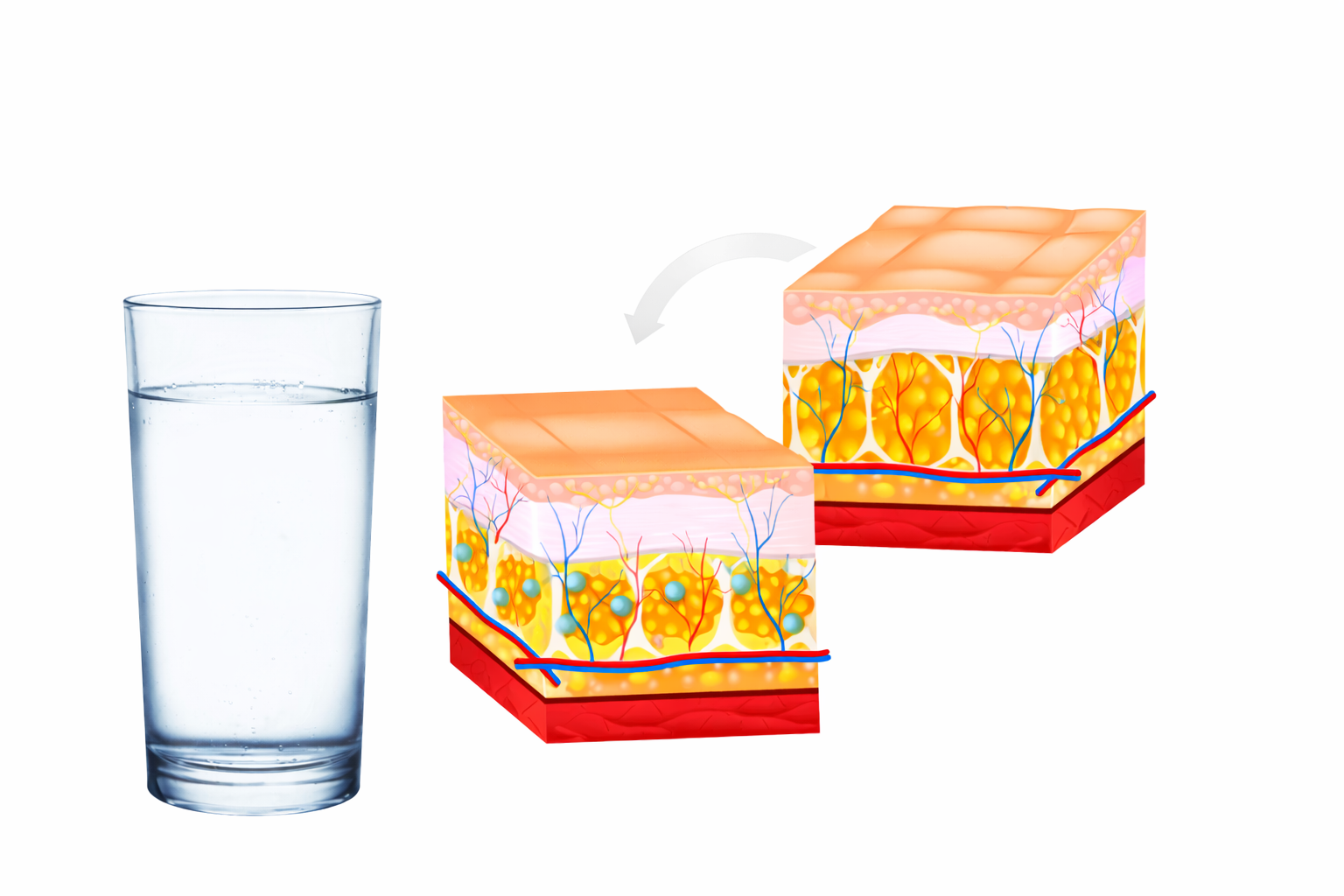 A Balancio működési elve